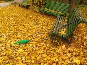 Донские экологи оденутся в костюмы из листьев и выступят против сжигания листвы. Фото: ЮГА.ру