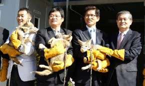 Корейские ученые клонировали койотов. Фото: http://www.mignews.com