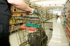 Гринпис составит народный рейтинг экологичности российских супермаркетов. Фото: Greenpeace