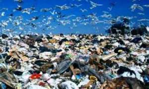 В Приморье и в Германии за год производится по 50 миллионов тонн отходов. Фото: Дейта.Ru