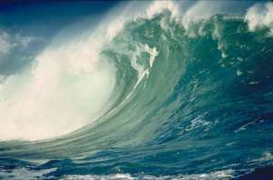Учения по предупреждению о цунами Pacific wave пройдут в странах АТР. Фото: http://tsun.sscc.ru