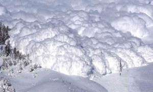 Снежная лавина. Фото: http://survinat.ru