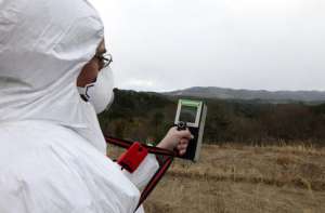 Уровень радиации в японских лесах измерят с помощью диких обезьян. Фото: http://www.segodnya.ua