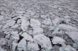 Cairn Energy проиграл Арктике всухую. Фото: Greenpeace