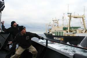 Sea Shepherd. Фото: http://jonbowermaster.com