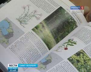 Флора и фауна Петербурга, внесённые в Красную книгу, попадут под усиленную охрану. Фото: Вести.Ru