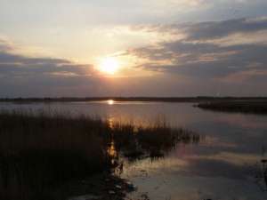 Озеро Шелюгино. Фото: http://mars-fish.ru