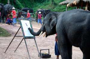Слон рисует картину. Фото: http://blogiat.com