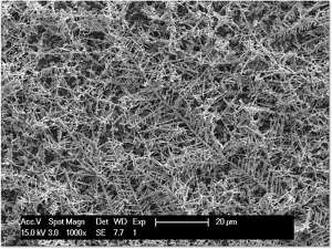 Выросшие из нитрата серебра на допированной фтором подложке оксида олова миниатюрные фрактальные «серебряные деревья» могли бы стать основой для нового типа фотогальванических ячеек. (Фото Frank Osterloh / UC Davis.)