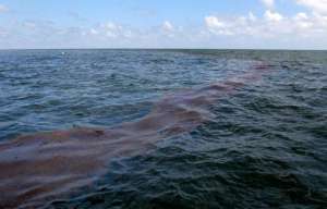 Нефтяная пленка в море. Фото: http://www.irrsochi.ru