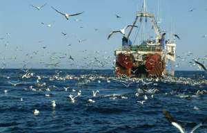 Рыболовецкий траулер в Северном море. Фото: http://vmnews.ru