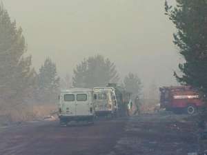 В бурятских лесах потушены все крупные пожары. Фото: Вести.Ru