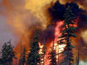Природный пожар. Фото: http://www.kavkaz-uzel.ru