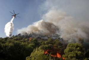 Тушение лесных пожаров. Фото: http://www.greecetoday.ru