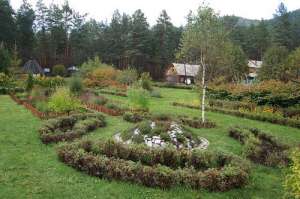 Ботанический сад Горного Алтая. Фото: http://wikigogo.org