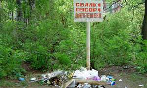 Свалки мусора в российских лесах. Фото: http://autonews.ru