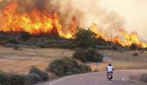 Лесной пожар в Испании. Фото: http://ruvr.ru