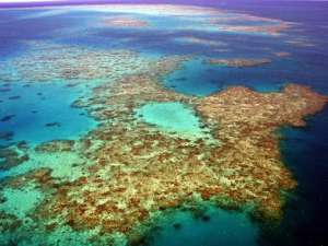 Коралловые рифы в территориальных водах Австралии. Фото: http://antario.com.ua