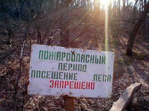 Власти Тувы полностью запретили посещение лесов из-за пожаров. Фото: http://www.mk.ru