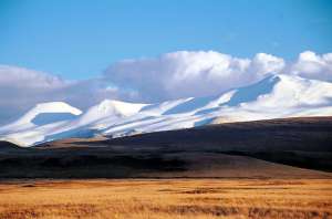 Золотые горы Алтая. Фото: Greenpeace