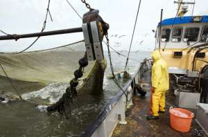 Рыболовный промысел. Фото: http://www.oceanology.ru