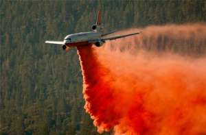 Босния и Герцеговина охвачена лесными пожарами. Фото: http://www.segodnya.ua