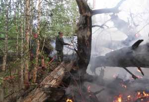 Лесные пожары в Томской области. Фото: http://novo.tomsk.ru