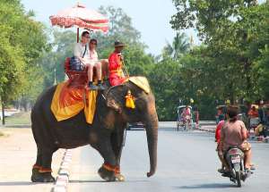 Тайский слон. Фото: http://klumber.ru