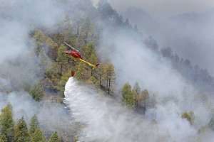 Лесные пожары на Канарских островах. Фото: http://copypast.ru