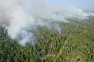 Лесные пожары в Сибири. Фото: http://www.pravda.ru