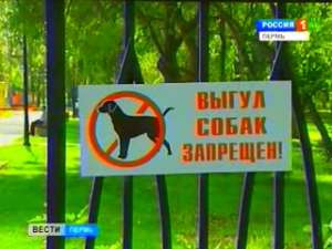 Пермякам негде выгуливать собак. Фото: Вести.Ru