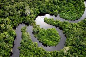 Дождевые леса Амазонки. Фото: http://www.krasfun.ru