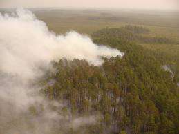 Природные пожары в Томской области. Фото: http://tomsk.bezformata.ru