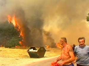 Жителей Сербии эвакуируют из-за лесных пожаров. Фото: http://thetimesnews.ru