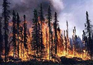 Лесной пожар. Фото: http://seagrant.uaf.edu