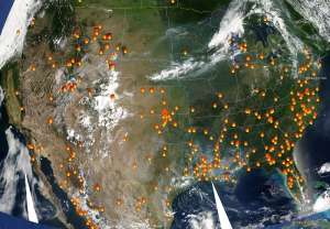 Лесные пожары в США. Фото: http://forestforum.ru