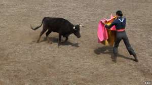 Бои быков в Мексике. Фото: http://bbc.co.uk