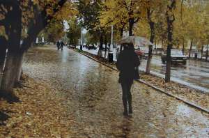 Дождливая осень. Фото: http://shkolazhizni.ru