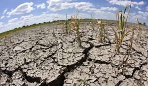 Глобальная засуха угрожает мировому развитию. Фото EPA с сайта &quot;Голос России&quot;