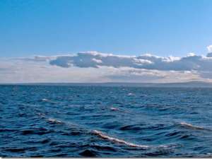 Экологи предлагают создать морской заказник в районе Сочи. Фото с сайта ЮГА.ру