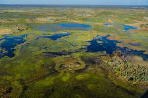 Вид на дельту р. Окаванго. Фото: http://sciencedaily.com