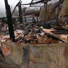 Приют для животных сожгли умышленно. Фото: shelter-alma.narod.ru  