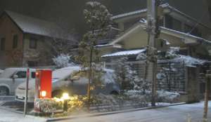 Снегопады в Японии. Фото: http://ruvr.ru