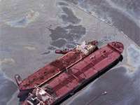 Химикаты для устранения утечеек нефти опасней самой нефти. Фото: Правда.ru