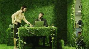 &quot;Зеленый&quot; офис. Фото: http://www.articlescholar.com