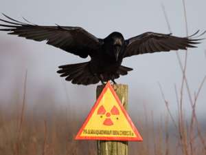 Радиоактивные отходы. Фото: Reuters