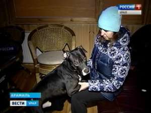В гостинице для животных собак довели до истощения. Фото: Вести.Ru