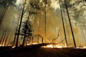 В Иркутске студенты предлагают тушить лесные пожары метанием грунта. Фото: http://greenpressa.ru