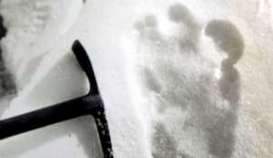 Логово снежного человека обнаружено в США. Фото EPA с сайта &quot;Голос России&quot;