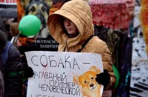 Митинг против догхантеров. Фото: http://publicpost.ru
